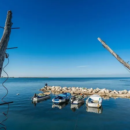 Garden Palace Pool Deluxe Umag