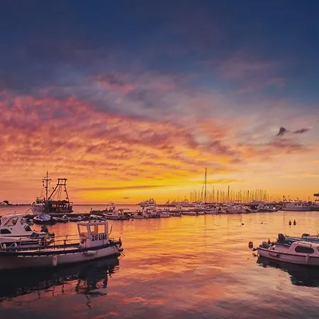 Garden Palace Pool Deluxe アパート